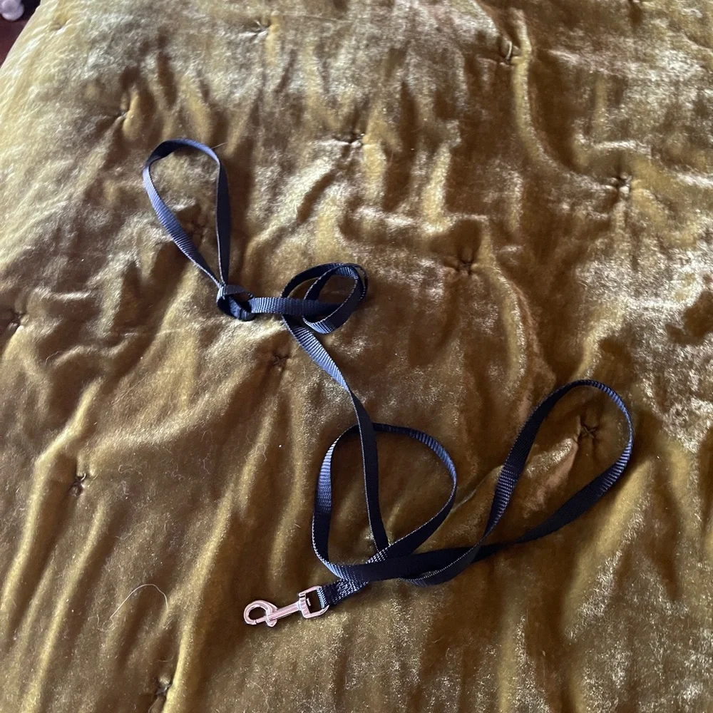 Simple Black Cat Leash New